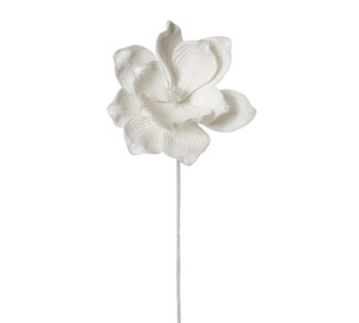 Forest Magnolia d.22cm Ivory