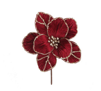 Velvet Magnolia pick  Burgundy