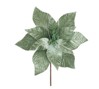 Velvet poinsettia mint green